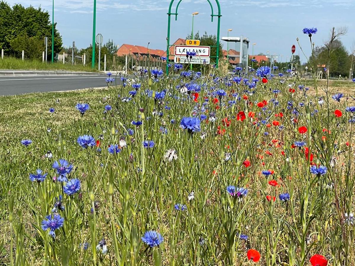 Flandres Artois Paysages Bruay-la-Buissière