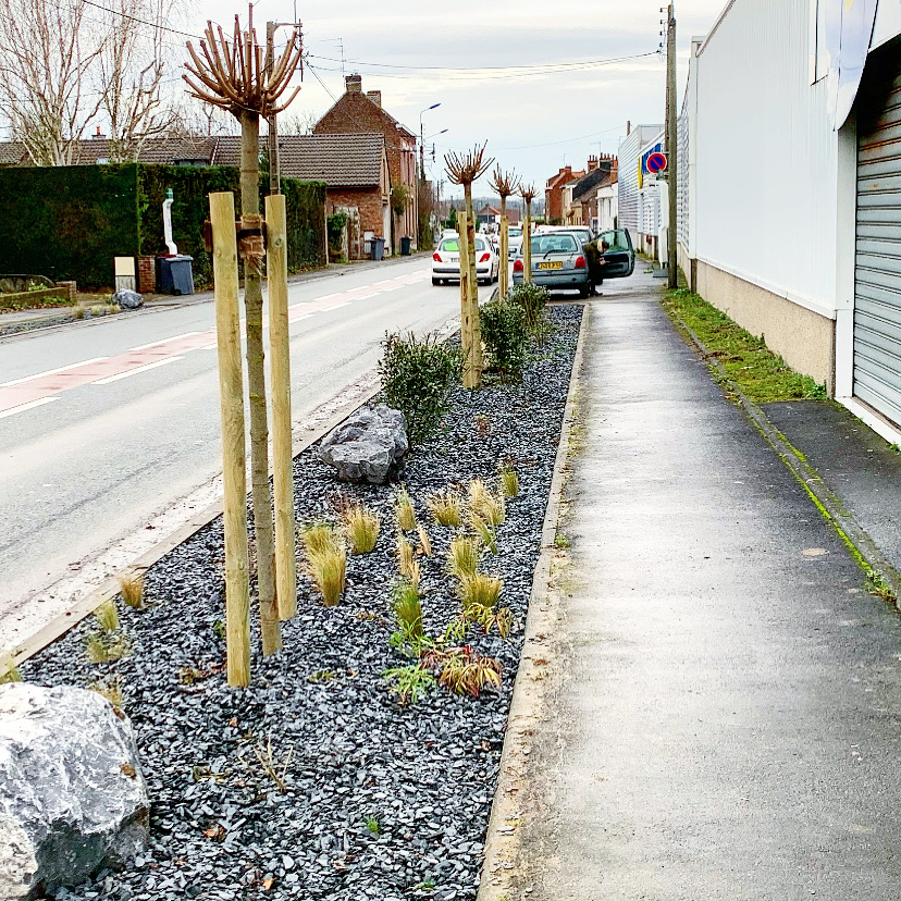 Plantation & création de massifs